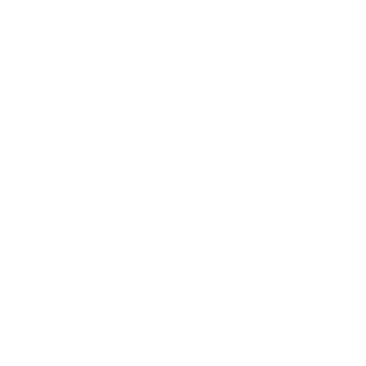ZEM