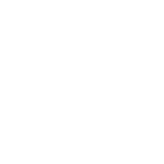Intek